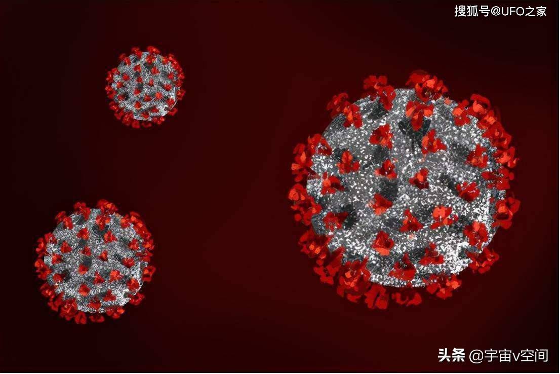 新研究：一种毒性较强的猴痘病毒毒株具备性传播能力