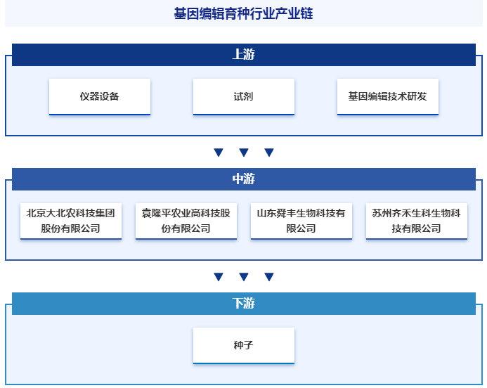 腾亚精工2023年实现营收4.63亿元 已经具备在海外市场竞争的实力