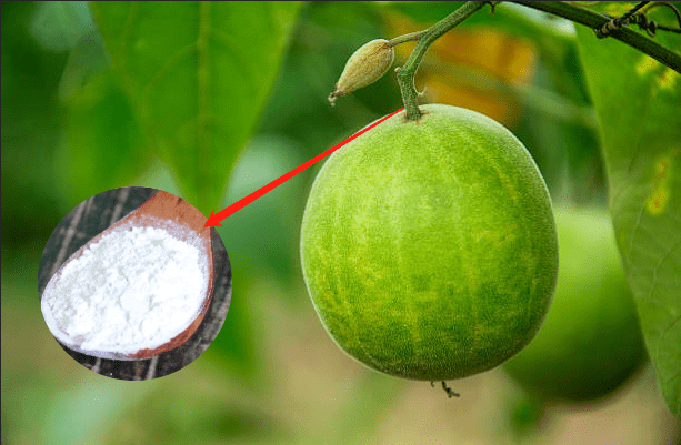 莱茵生物：预计今年甜叶菊和罗汉果提取物产品价格趋势向上