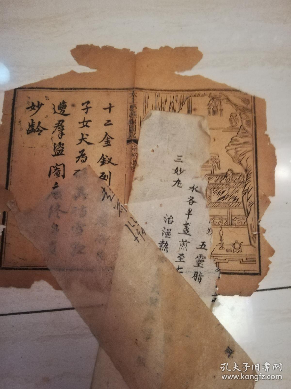 从一纸“电力药方”看绍兴绿色革命