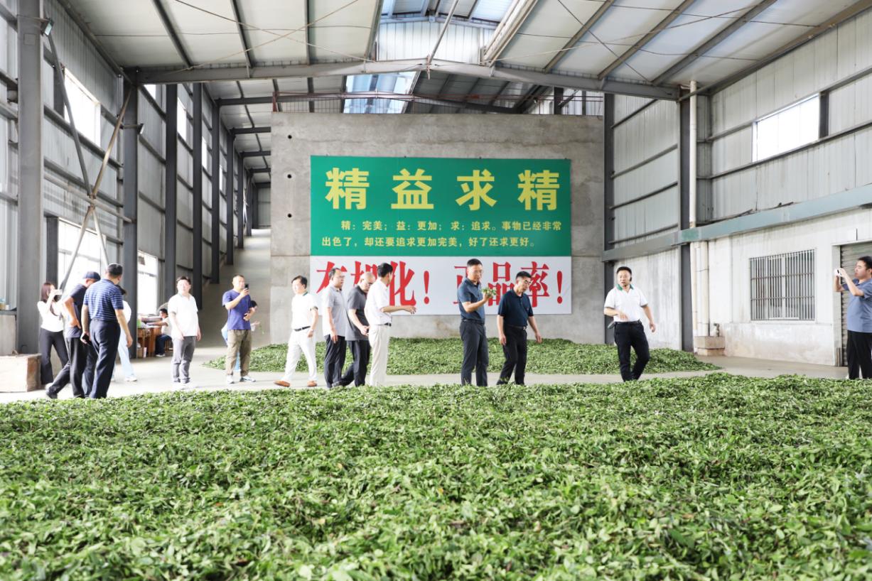 湖北做大科创潜力股 政策活水灌溉上市后备企业