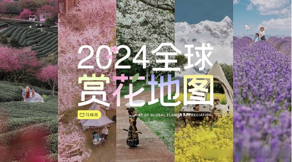 2024年马旅游土地租金收入增长